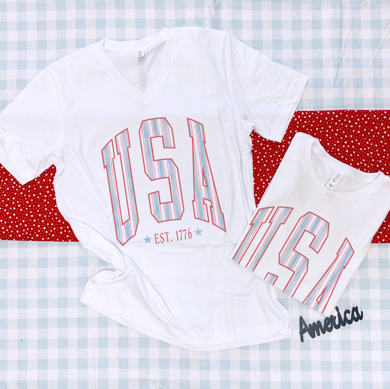 AMERICAN SPIRIT 2025: USA Chambray Stripes (BELLA CANVAS VNECK OR CREW NECK)