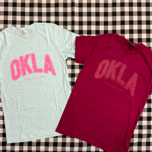 SWEET TEE TUESDAY: OKLA SIMPLE PRINT (CHAMBRAY & BERRY)