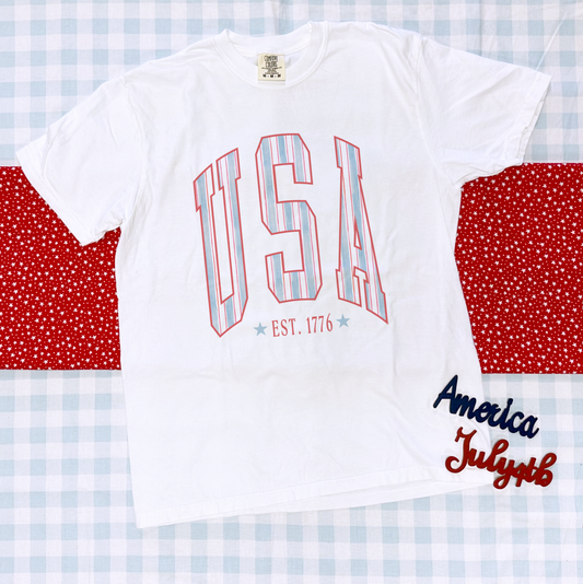 AMERICAN SPIRIT 2025: USA Chambray Stripes (COMFORT COLORS SHORTSLEEVE)