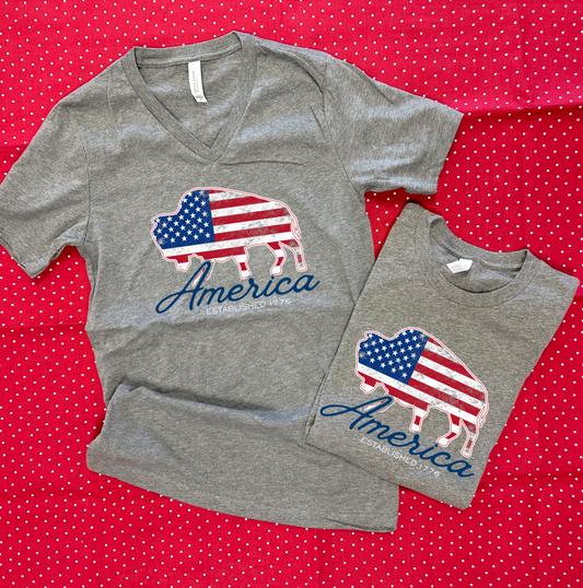AMERICAN SPIRIT 2026: American Flag Buffalo (BELLA CANVAS VNECK or CREW NECK)