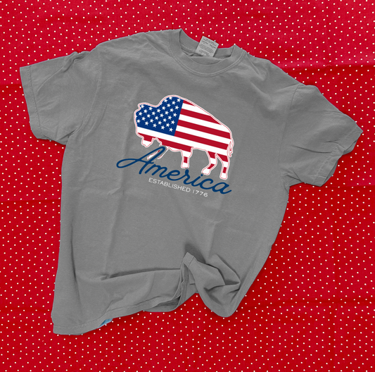 AMERICAN SPIRIT 2026: American Flag Buffalo (COMFORT COLORS SHORTSLEEVE)